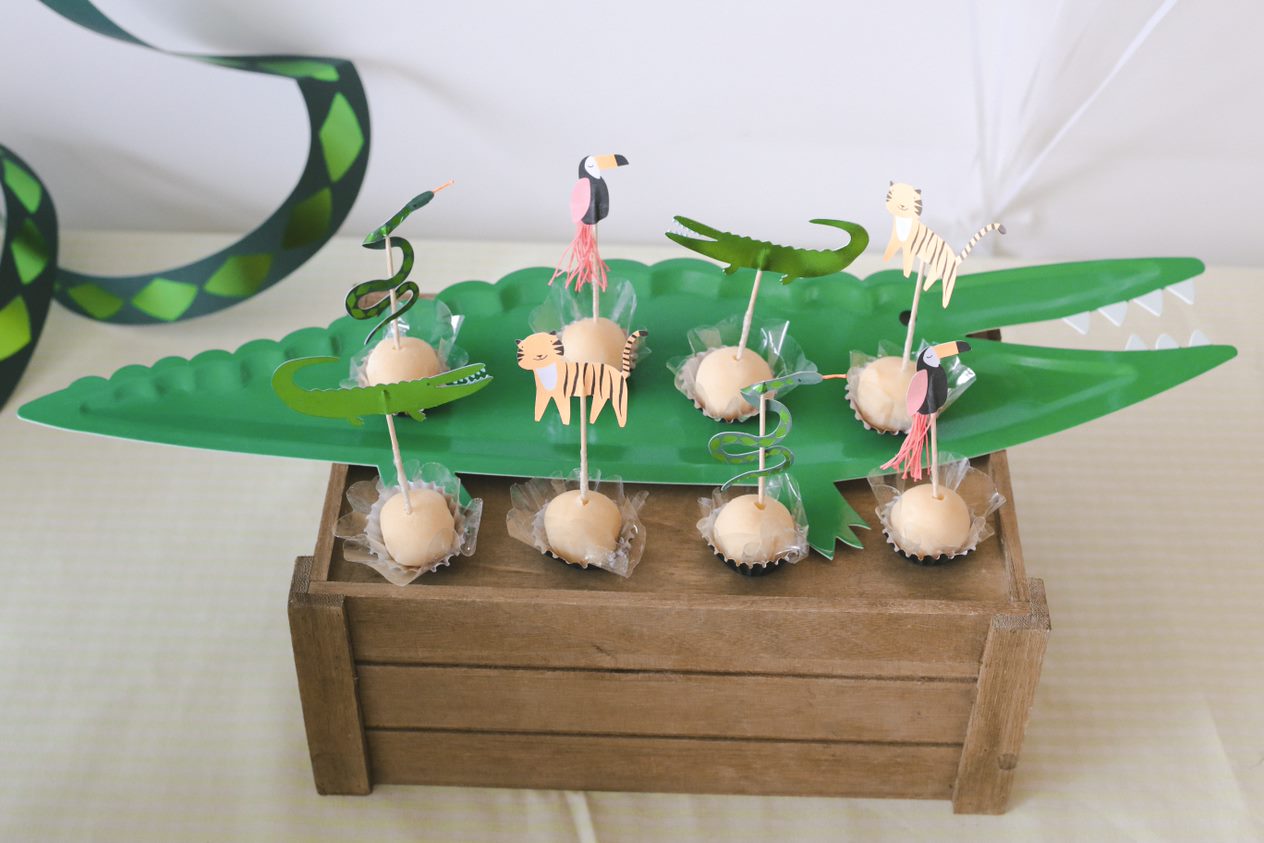 Bandejas crocodilo (4 Un.)